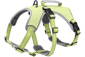BELPRO Arnés de Apoyo Multiusos para Perro, a Prueba de Escape, Chaleco Reflectante Ajustable con Mango Duradero, arnés para Perros Grandes y Activos (Verde, S)