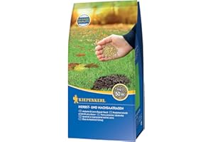 Kiepenkerl Herbst- und Nachsaatrasensamen 651777, 1 kg - Ideal für Herbstnachsaaten, schnelle Keimung, Rasensamen für Ausbesserung und Nachsaat, widerstandsfähig, für 50 m²