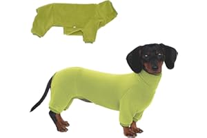ESCCBOO Maglione a collo alto per bassotti – Abbigliamento invernale caldo e confortevole per il tuo dachshund (verde, S)