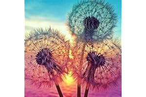 BLUEMEX Diamond Painting Bild, Pusteblumen, 50 Farben, eckige Strass-Steine, 65x65cm, Vollbild