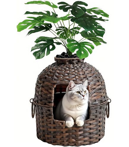 Snughome Katzentoiletten-Versteck Aus Rattan – Handgewebte Box Mit Tür, Maße 52x42x57 Cm | Diskretes Katzenklo-Gehäuse Für Wohnzimmer Oder Schlafzimmer