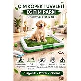 CNGZSHOP Pet Park K&ouml;pek Tuvalet Eğitim Parkı, 31 x 45,5 cm, B&uuml;y&uuml;k Boy