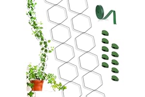 KAKVEIAI 18 PCS Treillis à Chaîne pour Plantes Grimpantes, Aide à l'escalade pour Plantes, Support de Plantes, avec Rubans 1M et Crochets 10pcs, pour Plantes Grimpantes (Hexagon)