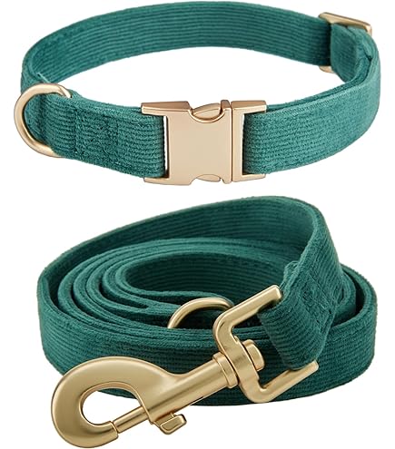 De Canny Colossus Hondenhalsband voor honden van grote