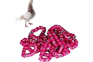 Gwtdtoad 50 Stück Tauben Beinringe 2025 Aluminium Taubenbeinringe Vogelfußringe Identifikationsbänder Vögel Fuß Langlebiges Zubehör Taubenfußringe Für Küken, Tauben Und