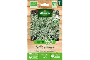 Vilmorin - Thym de Provence bio - plante aromatique bisannuel - incourtournable de la cuisine méridionale -