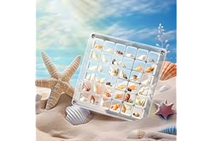 CENCERY Scatola espositiva magnetica acrilica a forma di conchiglia, 36 griglie, con apertura a doppia faccia, per gioielli con perline, stelle marine, ciondoli e unghie