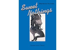 Sweet Nothings: Notes and Texts 1982-2014 /anglais