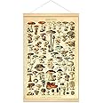 Meishe Art Vintage Poster Print Mushrooms Champignons Identification Reference Chart Diagram Illustration Botanical Educational Hanger Frame Wall Decor(40cm x 60cm+Hanger Frame)