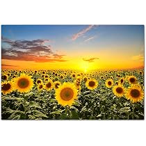Tableau Sinus Art – Paysage De Collines Au Lever De Soleil – 120x80cm Lin