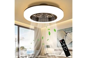 ZMH Led Ventilateur de Plafond avec Éclairage-Moderne Grand Lustre Ventilateur Muet Télécommande Timing Salon Lumière Dimmable Plafonnier Ventilateur Pour Salon Chambre Cuisine Salle À Manger