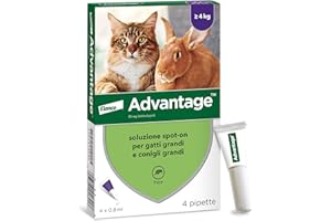 ELANCO Advantage spot-on trattamento antipulci per gatti grandi e conigli grandi, 4 pipette.