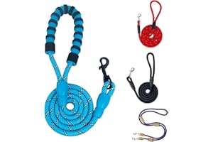AITODOS TA AiTodos® Laisse pour Chien de 1,2 m, Laisse de Dressage Ou de Marche pour Petits, Moyens et Grands Chiens, avec Poignée Rembourrée et Lignes Réfléchissantes, Bleu
