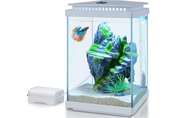PYPABL Kit Aquarium en Verre 4L, Réservoir Betta, Kit De Démarrage pour Mini Aquarium, avec Pompe à Air, LumièRe LED, Filtration, Décoration, Changeur d'eau (Blanc)