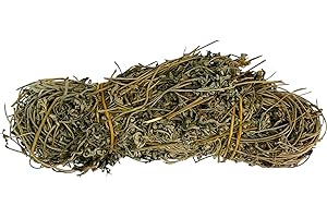 AXPPIN Mazzi di Assenzio Essiccato Artemisia 220 Grammi - 1.95 Chili - Classe A Artemisia Absinthium (220 grammi)