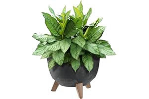 KADAX Doniczka z tworzywa sztucznego z trzema podpórkami, okrągła donica na kwiaty, donica na rośliny, na balkon, do salonu (czarna, Ø 29 cm)