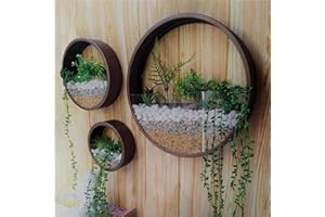 Ecosides Juego de 3 macetas Colgantes de Pared, terrario Redondo, jarrón de Metal para jardín de Hadas, marrón