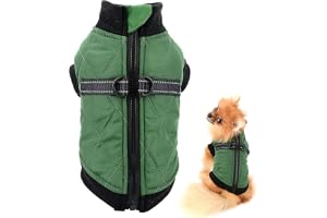 PetVogue Pet Water Resistance Zip-up Jacket Vest Coat with D-Rings for Small Dogs Cats, Fleece Lined Puppy Shihtzu Chihuahua Yorkie Warm Winter Green-Small