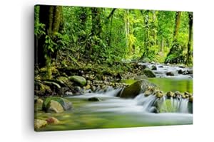 ARTTOR Lienzos decorativos Stream Bosque Naturaleza Cuadro Sobre Lienzo Moderno 70x50cm Cuadros Decoracion Salon Dormitorio Cocina Cuadros Pared Imágenes Wall Art Prints Decor Canvas AA70x50-0174