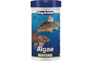 King British – Wafers de Algas 100g: Alimento Completo hundible con multivitaminas e Ingredientes Naturales para Peces de Fondo como los bagres y los Peces Que comen Algas