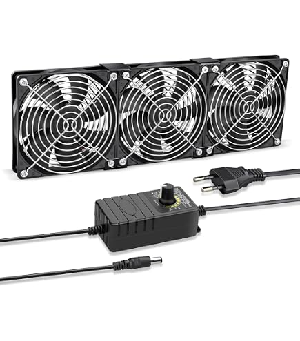 CLAPET DE DEPOLLUTION pour Daelim VJ 125 Roadwin de 2004 a 2006 EUR 26