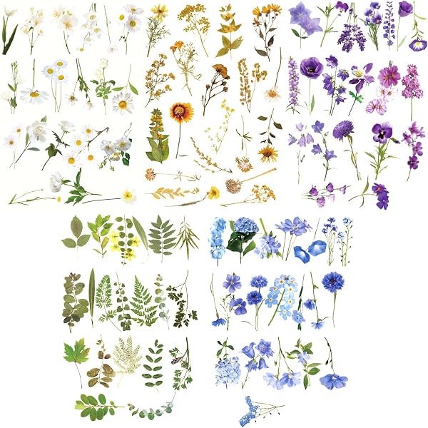 Motten & Blumen Sticker Set – 2 Bögen Mit 180x110 Mm, Mattes Papier, Handgefertigt
