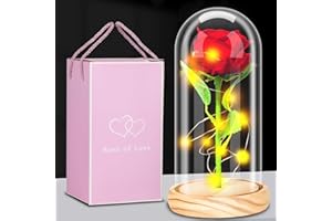 HIGSPE Rosa Eterna, Bella e La Bestia, Rosa Stabilizzata Vera in Vetro, La Rosa in Vetro con Luci LED, Regalo per Festa della Mamma San Valentino Compleanno Matrimonio Natale
