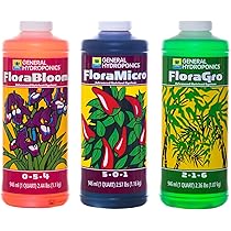 71PpZ381WOL._AC_UL210_SR210,