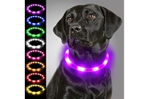 Joytale Collier Lumineux Chien, LED Collier de Chien Rechargeable USB, Clignotant avec 3 Modes de Sécurité Réglables pour Petits, Moyens et Grands, Violet