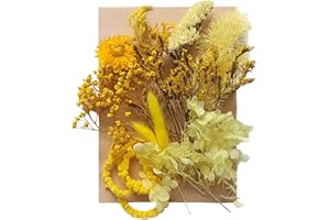 HILEYU Dried Flowers Leaves Pressed Dried Flowers Mixed Multiple Natural Decorative Artificial Flowers Dried Flowers for Crafts Resin Cakes Diy Jewellery Nail Art Scrapbooks
