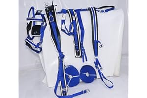Aces Equine NYLON HORSE CART DRIVING HARNESS IN BLUE & WHITE SIZE FULL, COB, PONY