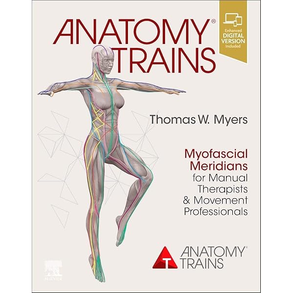 Anatomy Trains with Tom Myers DVD 全8巻 Anatomy Trains: Myofascial Meridians for Manual Therapists