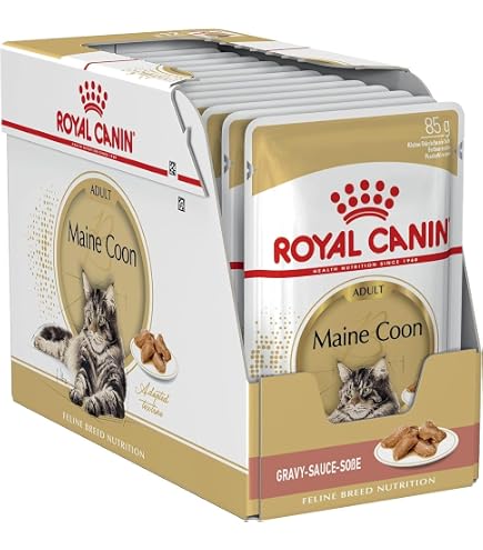 Royal Canin Maine Coon Trockenfutter fr Katzen, 12 kg, Erwachsene :  Amazon.de: Haustier