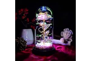 TECHSHARE Ewige Blume im Glas, Schöne und Das Biest Rose Geschenk für Freundin, Konservierte Rose, Einzigartige Geschenke für Frauen, Geburtstag, Thanksgiving, Valentinstag, Jubiläum, Weihnachten