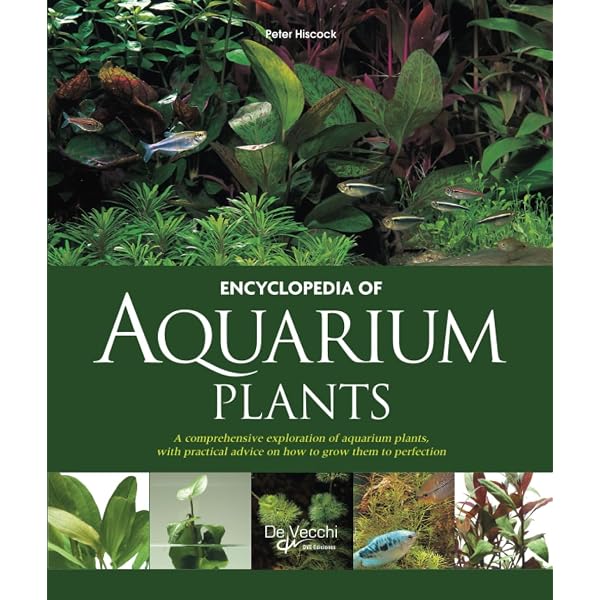 Nature Aquarium World: Book One (Natural Aquarium World): Amazon