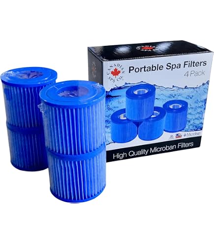 Darlly Einwegfilter Für Intex Canadian Spa (Muskoka, Swift Current, Grand Rapids) – SC828 – 2er Pack