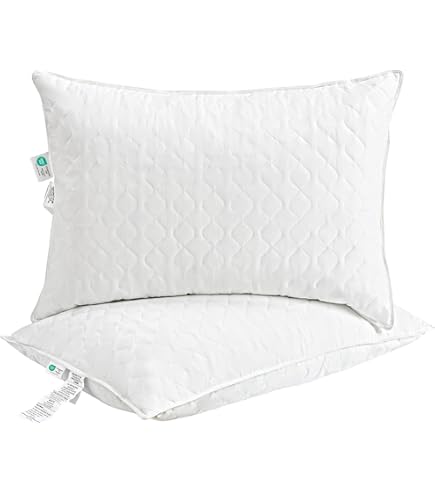 Cuscino Extra Morbido, 100% Piuma D'oca Canadese Semibianca, 80 X - Foto 10