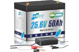 HRBEENERGY 24V 50AH LiFePO4 Batterie 1280Wh Last Lithium Akku mit Ladegerät, stabiles integriertes BMS Protect, 7000+ Deep Cycle Recharging, ideal für RV/Solar/Marine/Off-grid/Trolling Motor