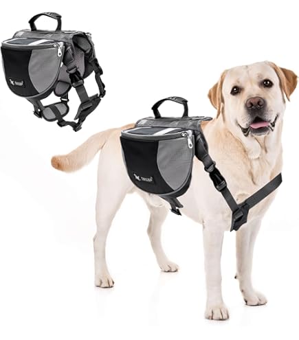 Perros Pequeños Mochila Sightseeing Para Mascotas Pet Mochila Para