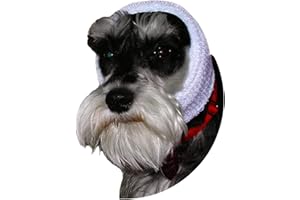 Zoni Pets, LLC Happy Hoodie (White, Small/Medium)