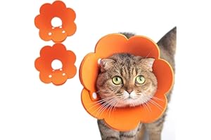 Crazy Bean 2 Pièces Collerette pour Chat Chien Réglable Colliers Élisabéthains pour Animaux Anti-Morsure Protecteur de Cône Collerettes de Compagnie Récupération,M,Orange