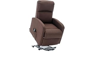 Astan Hogar Sillón Relax con Función Auto-Ayuda (Levanta Personas), Reclinación Eléctrica, Tapizado en Tela, Modelo Premium Plus AH-AR30630CH