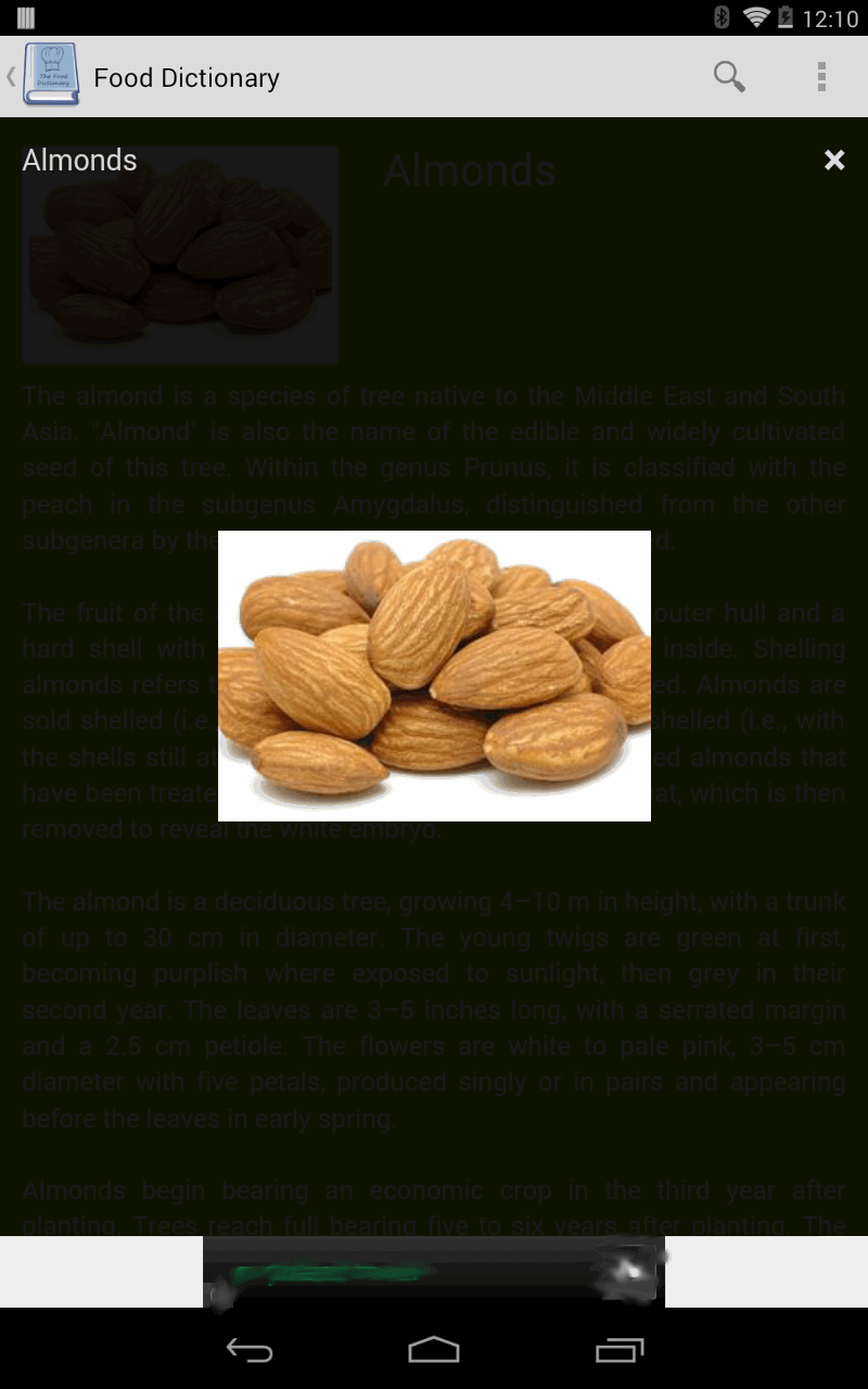 Food Dictionary Amazon.co.uk Appstore for Android