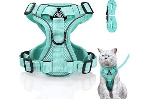 Justerbar kattsele som är rymningssäker, set med koppel, mjuk bröstsele för katter, kattungar, hundar, valpar, mintgrön, XS