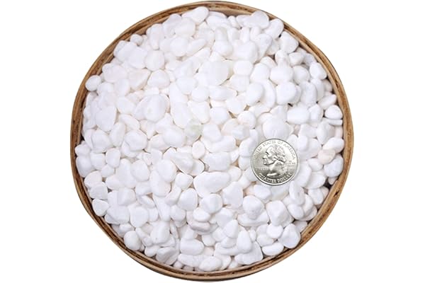 Hisredsun Pierres décoratives blanches de 1,8 kg, gravier naturel de 0,6 à 0,9 cm pour pots de fleurs, petites pierres de rivière pour l'aménagement paysager, remplissage de vases, plantes grasses,
