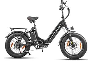 ‎SKIVOGR E Bike Klapprad 20 Zoll Elektrofahrräder，E-Faltrad Damen und Herren, 48V 18A*2 Doppelbatterien|250W Heckmotor & 25km/h, Hydraulische Bremse, Tiefeinsteiger E-City Bike/Falt-Pedelec für Erwachsene