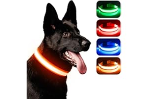 Leuchthalsband Hund, iTayga USB Aufladbar Led Hundehalsband Einstellbar Hundehalsband Leuchtend, Nacht-Sicherheitslicht Hundehalsband,TPU Wasserdicht, 3 Beleuchtungsmodi(Orange, M)