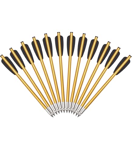 Pack Complet Pistolet Arbalète Alu 50 livres avec cible - Arbalètes