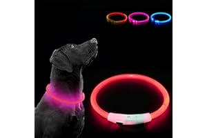 SATHYCHANPY Collier Lumineux Chien,Collier LED pour Chien Rechargeable USB,Collier Chien Lumineux Rechargeable avec 3 Modes D'éclairage,Collier pour Chiens de sécurité pour Petits, Moyens et Grands Chiens