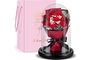 TangDouJM Gift for Women， Glass Domed Red Rose Bouquet,Timeless Rose Gift, for Couple, Christmas, Valentine's Day, Mother's Day, Interior Decoration